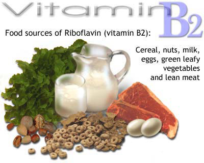 Vitamin B2 Có Công Dụng Như Thế Nào Đối Với Cơ Thể