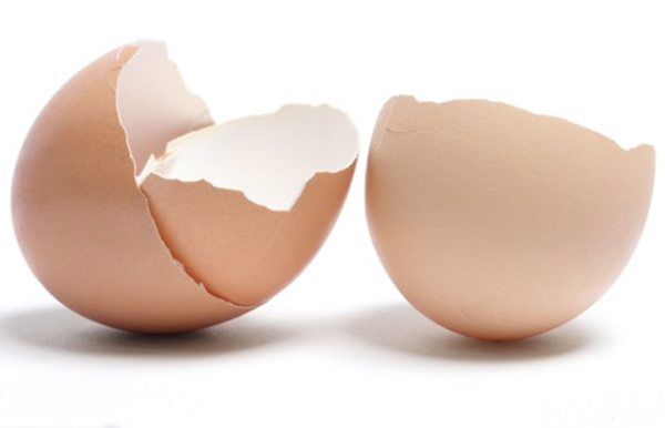 Vỏ Trứng - Thần Dược Chữa Nhiều Bệnh Không Phải Ai Cũng Biết