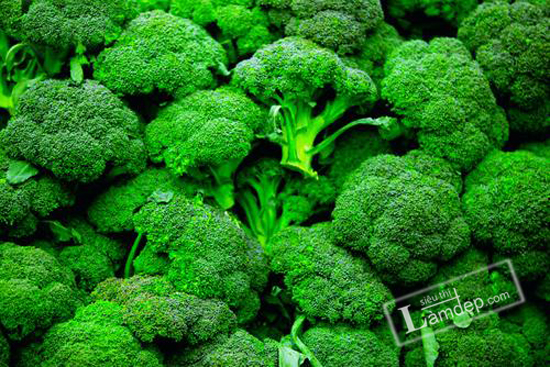 Broccoli (Brassica oleracea var. italica) is a member of the mustard family and is closely related to the cauliflower. --- Image by © Seth Resnick/Science Faction/Corbis